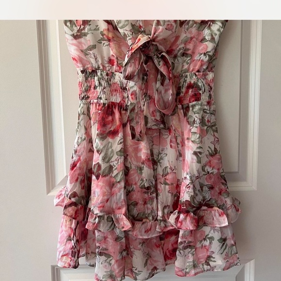 Hello Molly Sweetest Slice Dress Pink Worn Once - Picture 4 of 5